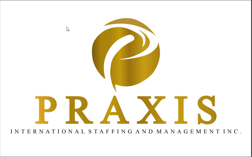 Previous Praxis International logo used before the 2026 rebrand